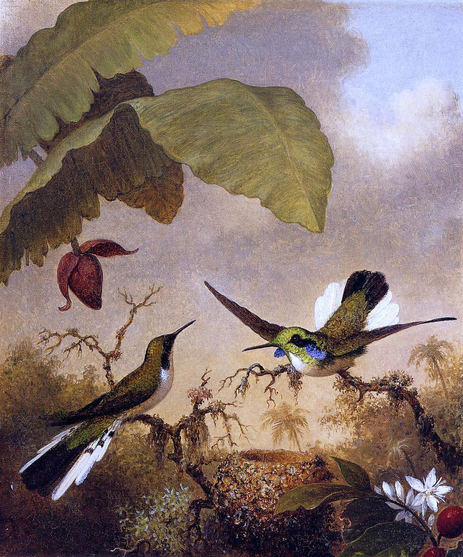 Martin Johnson Heade Black-Eared Fairy - Hand Painted Oil Painting