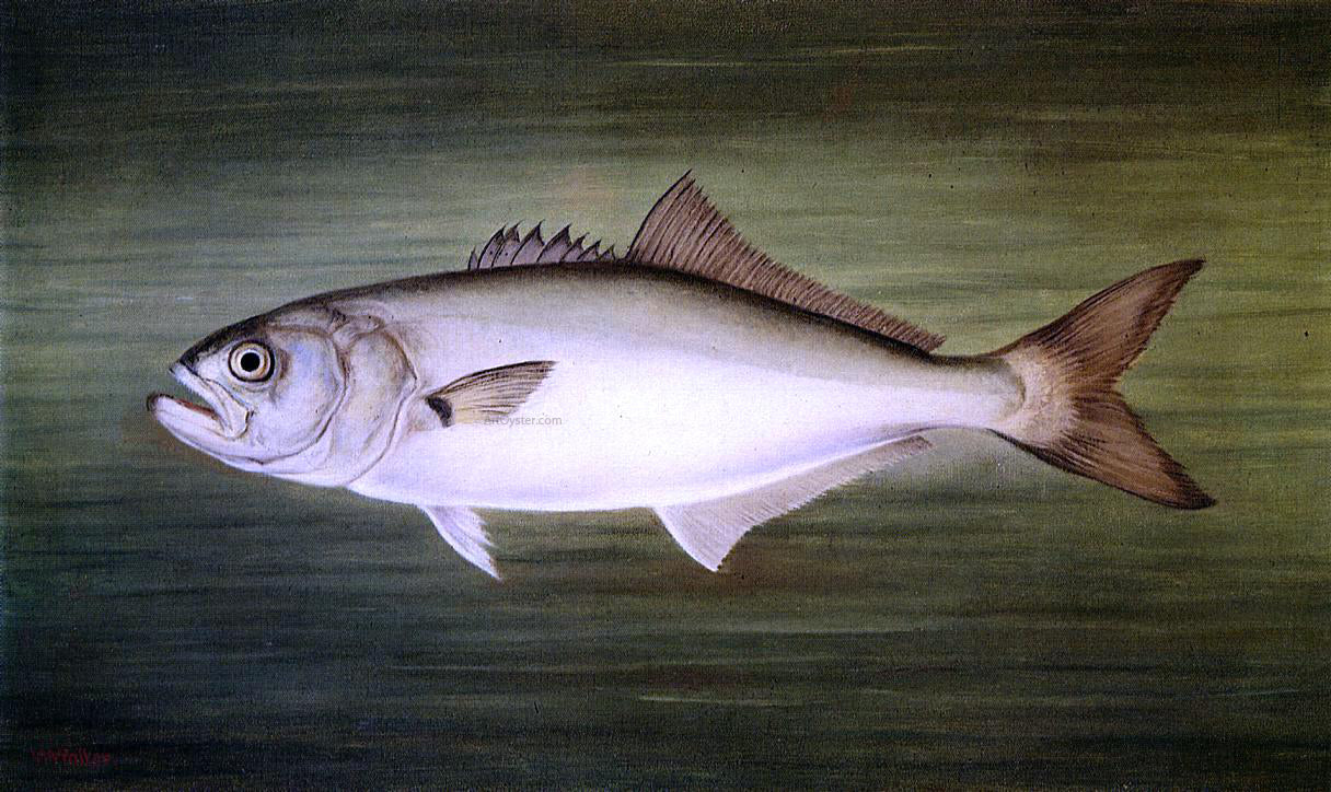 William Aiken Walker Blue Fish - Hand Painted Oil Painting