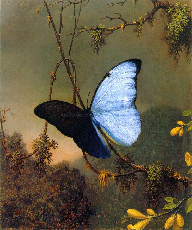 Martin Johnson Heade Blue Morpho Butterfly - Hand Painted Oil Painting