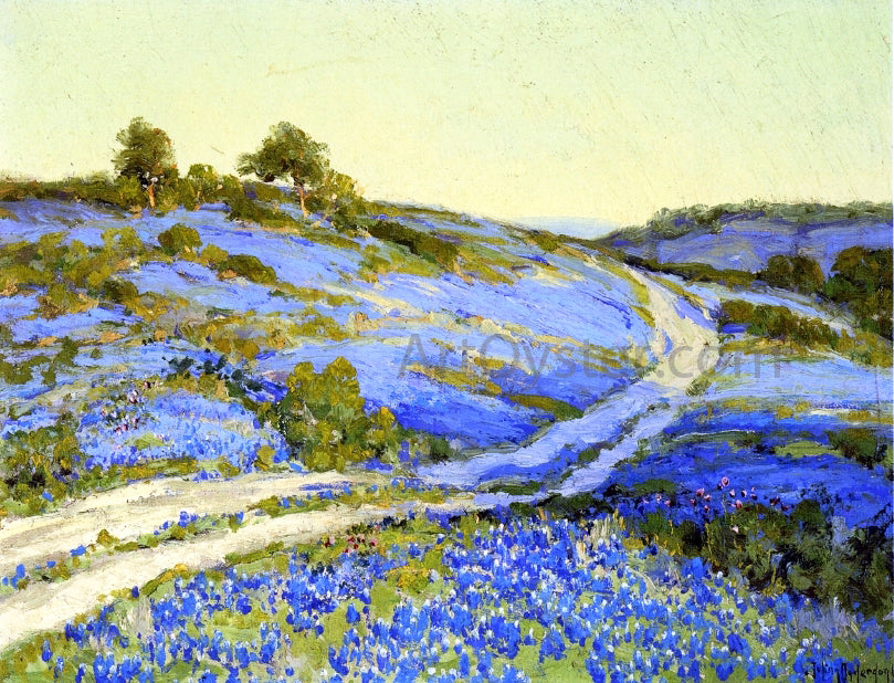 Julian Onderdonk Bluebonnets, Late Afternoon - Hand Painted Oil Painting