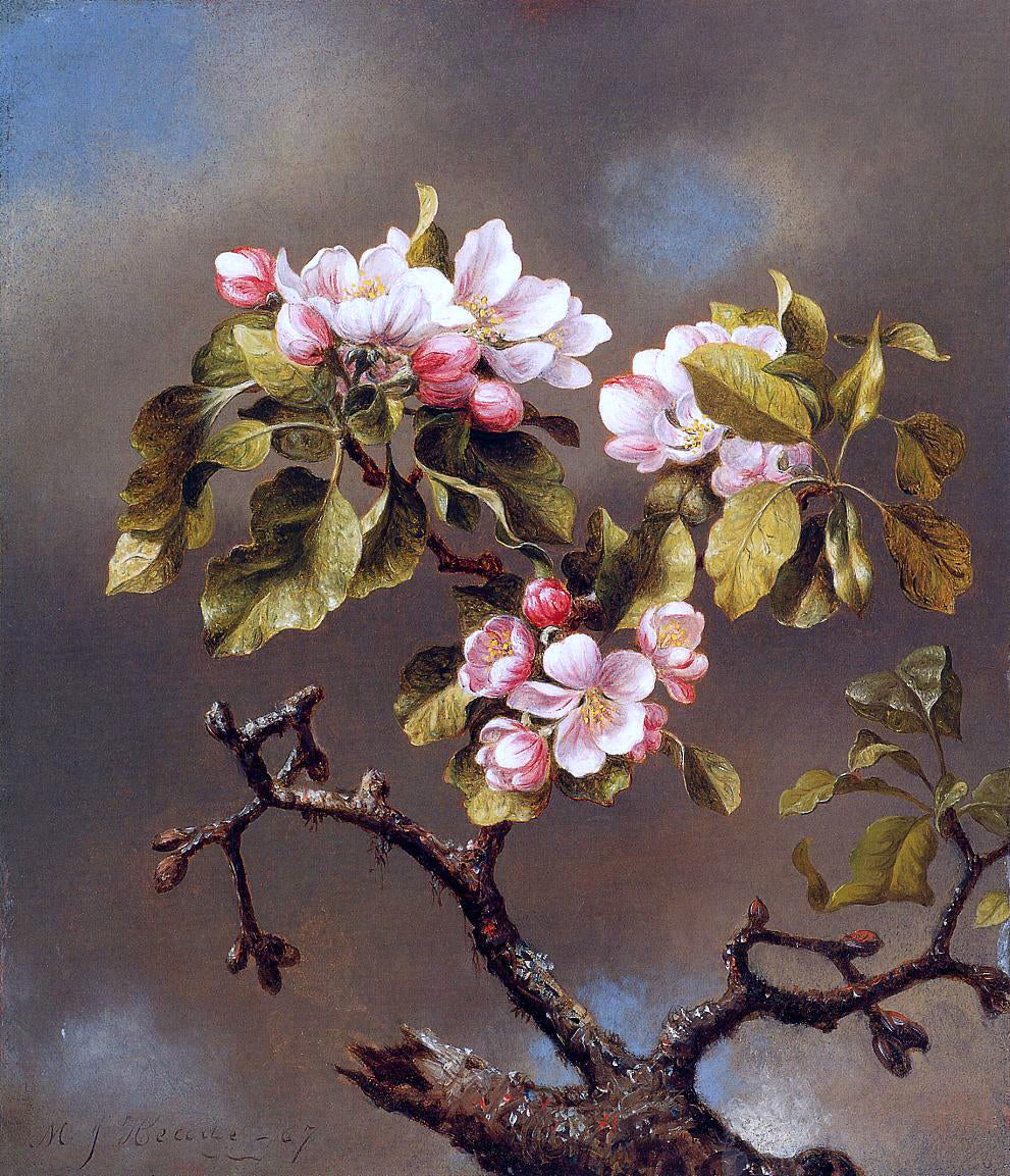 Martin Johnson Heade Branch of Apple Blossoms against a Cloudy Sky - Hand Painted Oil Painting