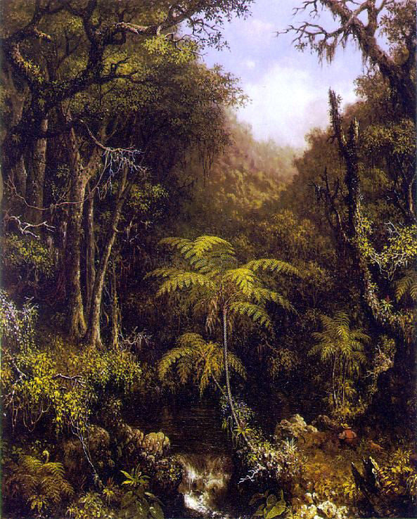Martin Johnson Heade Brazilian Forest - Hand Painted Oil Painting