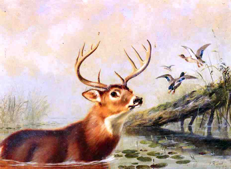 Arthur Fitzwilliam Tait Buck in a Marsh - Hand Painted Oil Painting