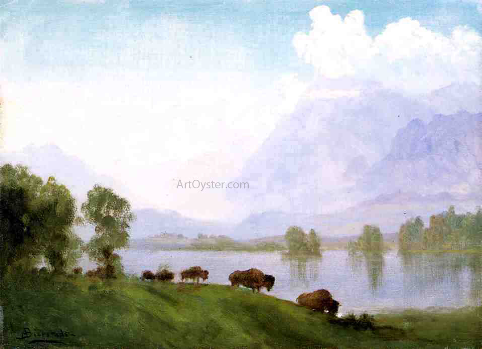 Albert Bierstadt Buffalo Country - Hand Painted Oil Painting