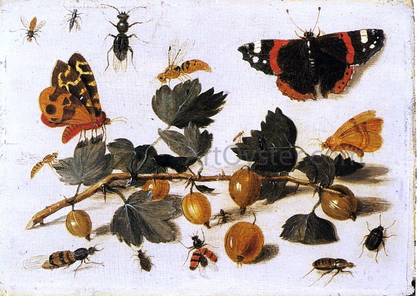 The Elder Jan Van Kessel Butterflies and Insects and a Spray of Gooseberries - Hand Painted Oil Painting