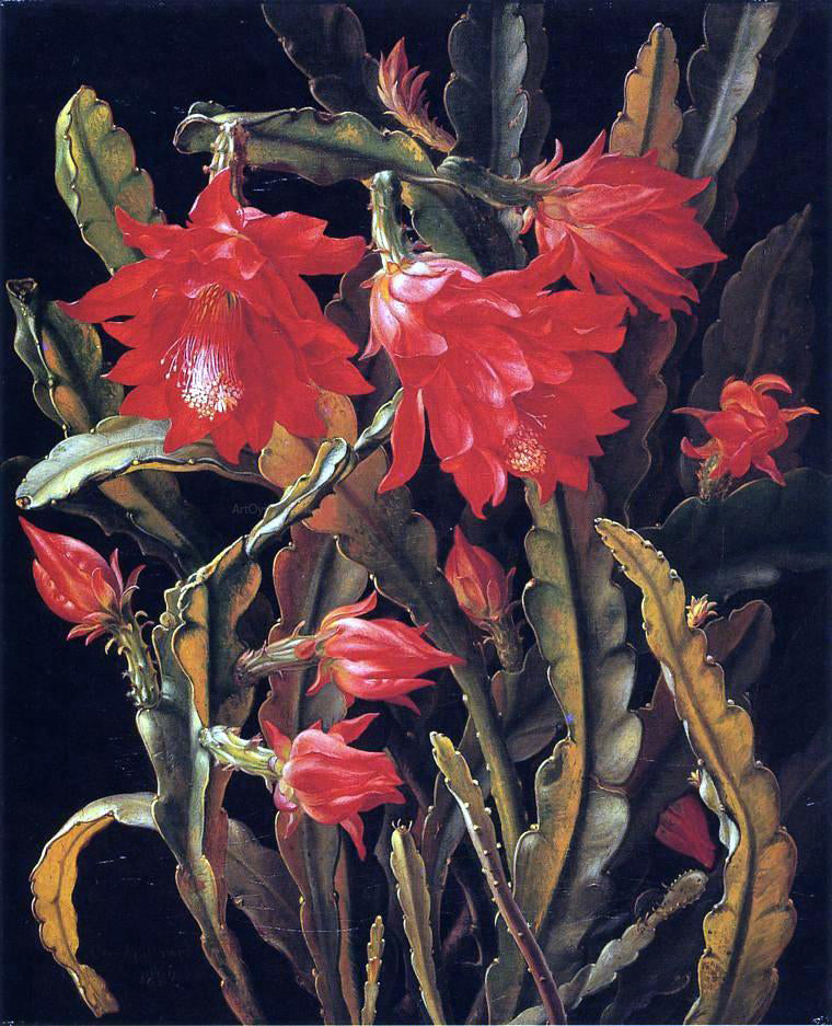 Christian Juel Mollback Cactus with Scarlet Blossoms - Hand Painted Oil Painting