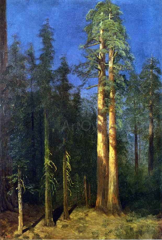 Albert Bierstadt California Redwoods - Hand Painted Oil Painting