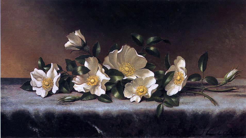 Martin Johnson Heade Cherokee Roses on a Light Gray Cloth - Hand Painted Oil Painting