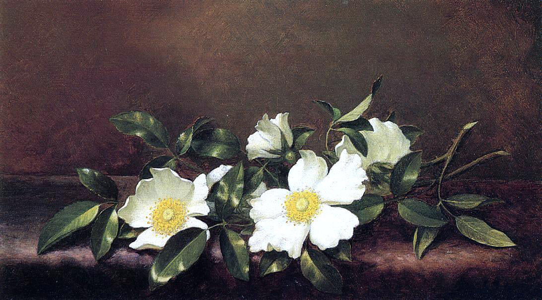 Martin Johnson Heade Cherokee Roses on a Purple Velvet Cloth - Hand Painted Oil Painting