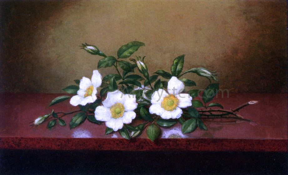 Martin Johnson Heade Cherokee Roses on a Shiney Table - Hand Painted Oil Painting