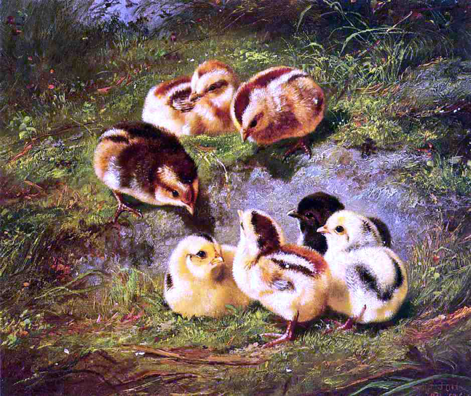Arthur Fitzwilliam Tait Chickens - Hand Painted Oil Painting