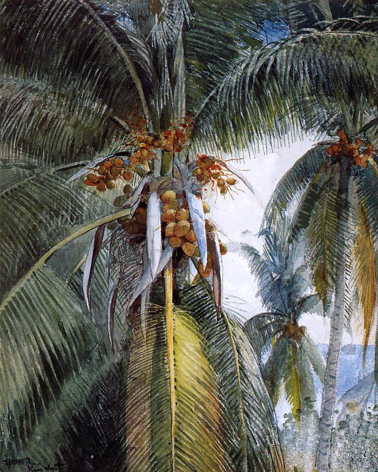 Winslow Homer Coconut Palms, Key West - Hand Painted Oil Painting