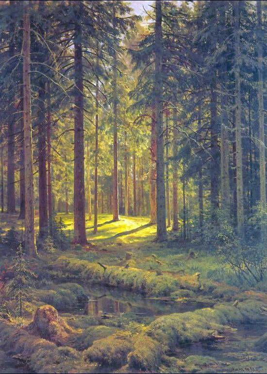  Ivan Ivanovich Shishkin Coniferous Forest, Sunny Day - Hand Painted Oil Painting