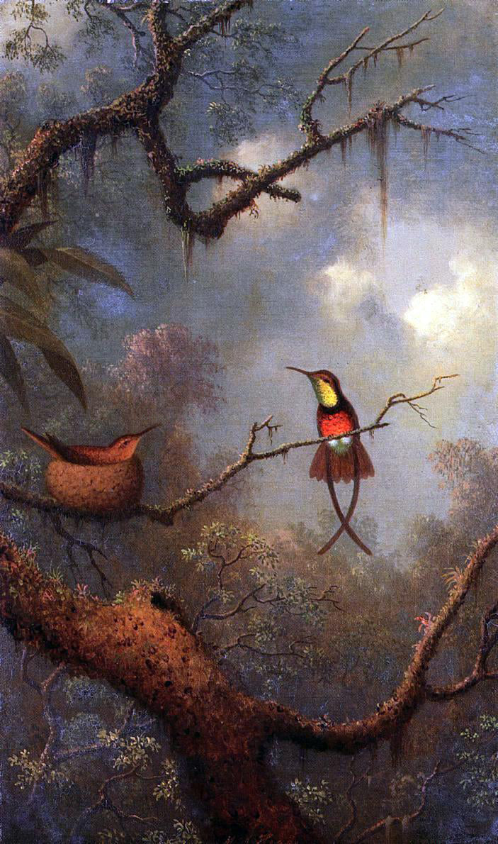 Martin Johnson Heade Crimson Topaz Hummingbirds Nesting in a Tropical Forest - Hand Painted Oil Painting