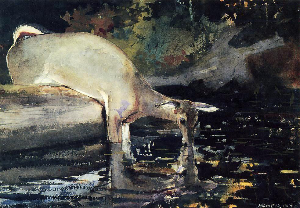 Winslow Homer A Deer Drinking - Hand Painted Oil Painting