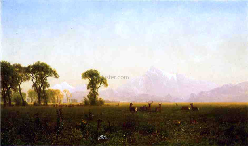 Albert Bierstadt Deer Grazing, Grand Tetons, Wyoming - Hand Painted Oil Painting