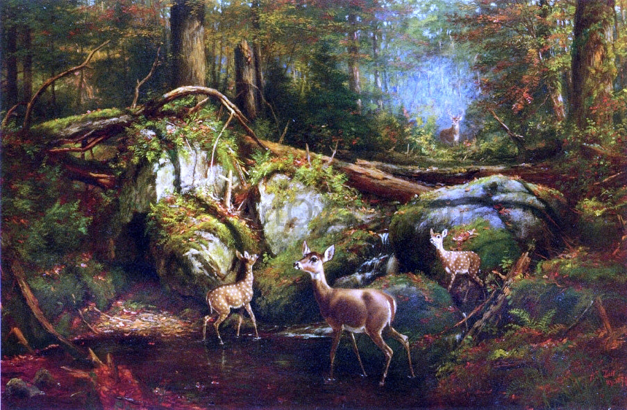  Arthur Fitzwilliam Tait Deer in the Adirondacks - Hand Painted Oil Painting