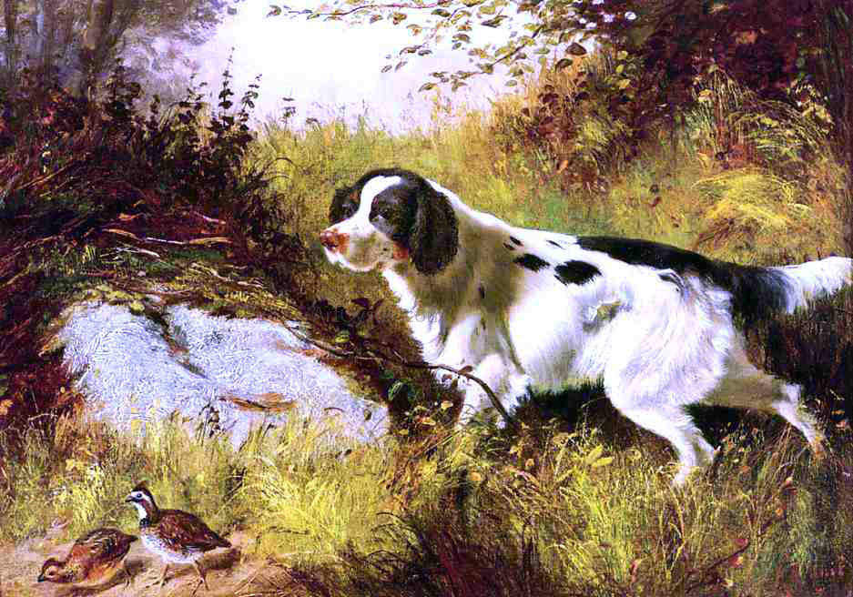 Arthur Fitzwilliam Tait Dog and Quail - Hand Painted Oil Painting