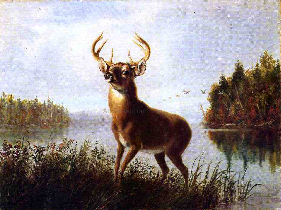 Arthur Fitzwilliam Tait An Eight Point Stag - Hand Painted Oil Painting