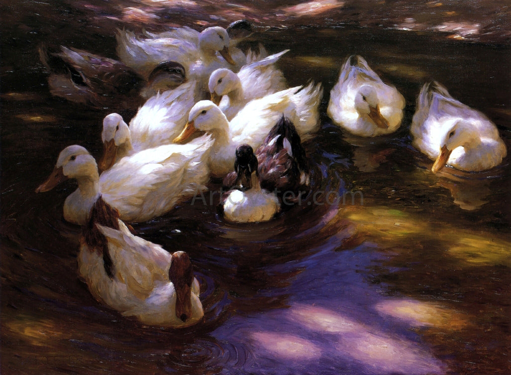 Alexander Koester Eleven Ducks in the Morning Sun - Hand Painted Oil Painting