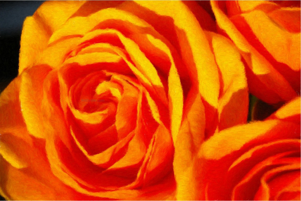 Our Original Collection Fabulous Orange Rose - Hand Painted Oil Painting
