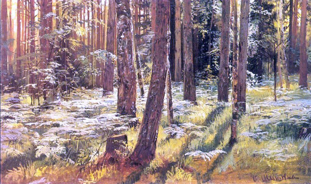 Ivan Ivanovich Shishkin Ferms in a Forest (etude) - Hand Painted Oil Painting