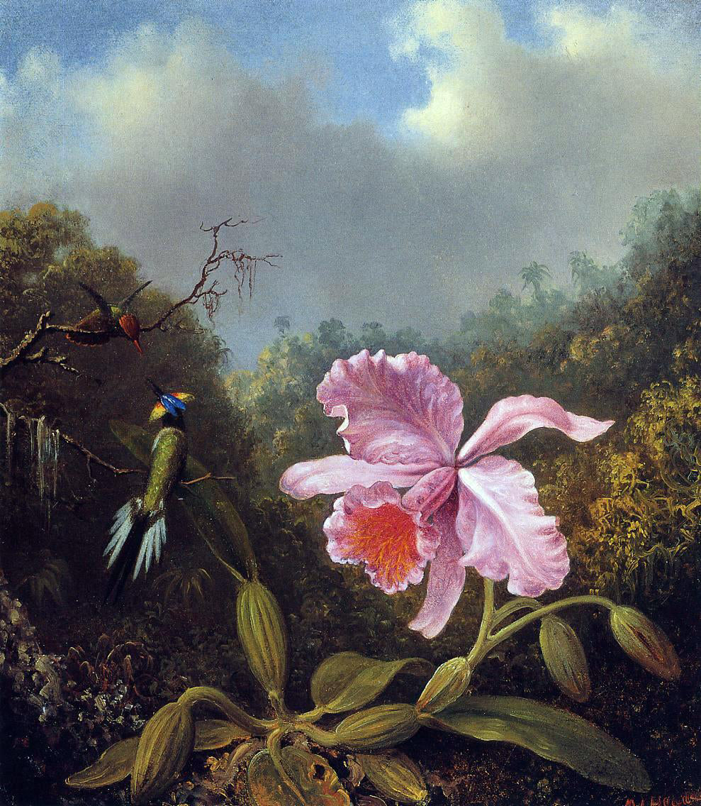 Martin Johnson Heade Fighting Hummingbirds with Pink Orchid - Hand Painted Oil Painting