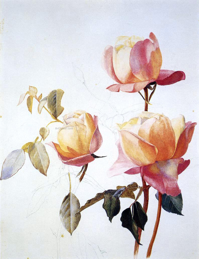 Henry Roderick Newman Florentine Roses - Hand Painted Oil Painting