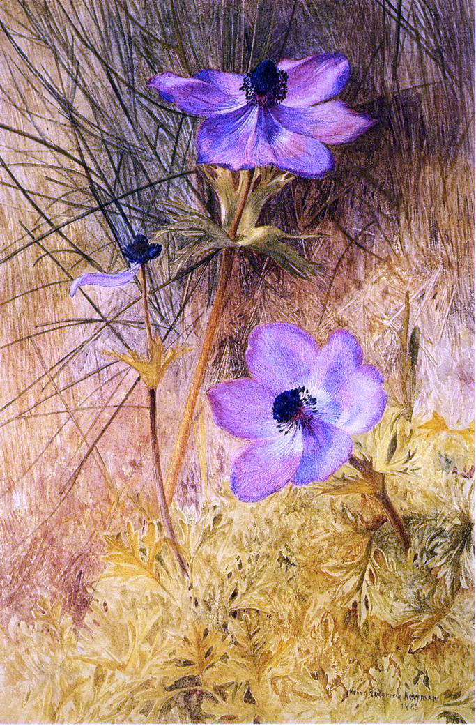 Henry Roderick Newman Florentine Wild Anemones - Hand Painted Oil Painting
