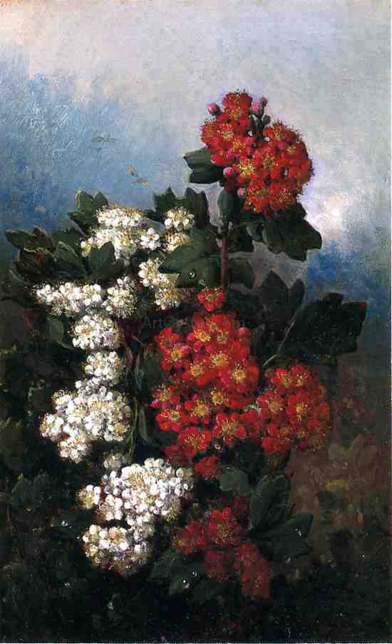 John Williamson Flowers and Butterflies - Hand Painted Oil Painting