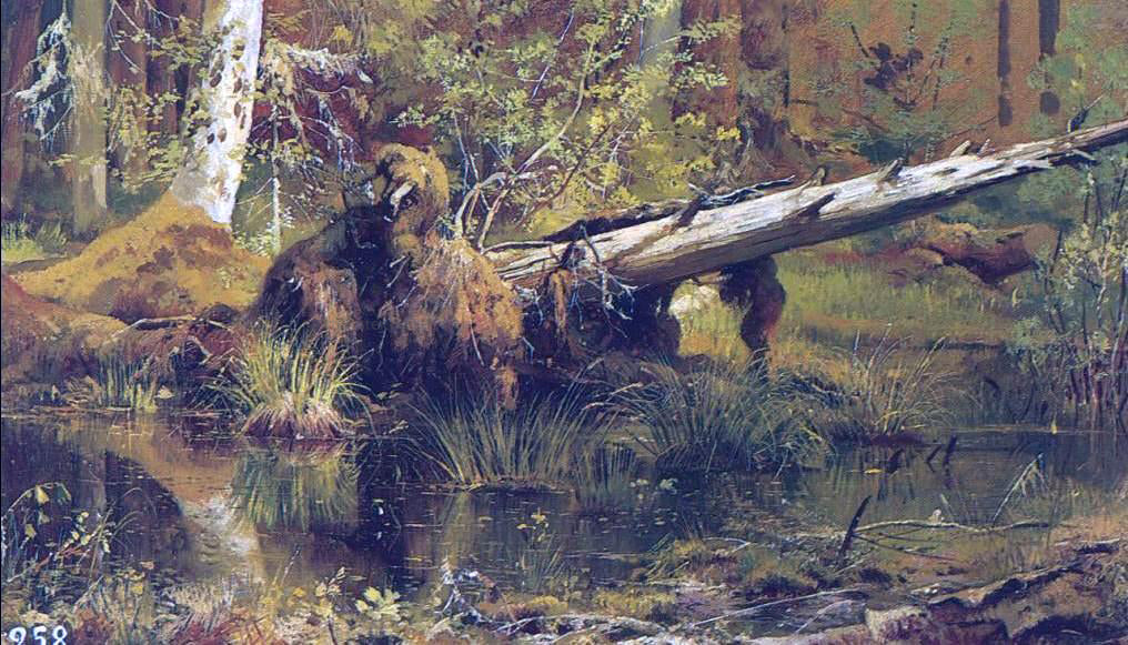 Ivan Ivanovich Shishkin Forest (etude) - Hand Painted Oil Painting
