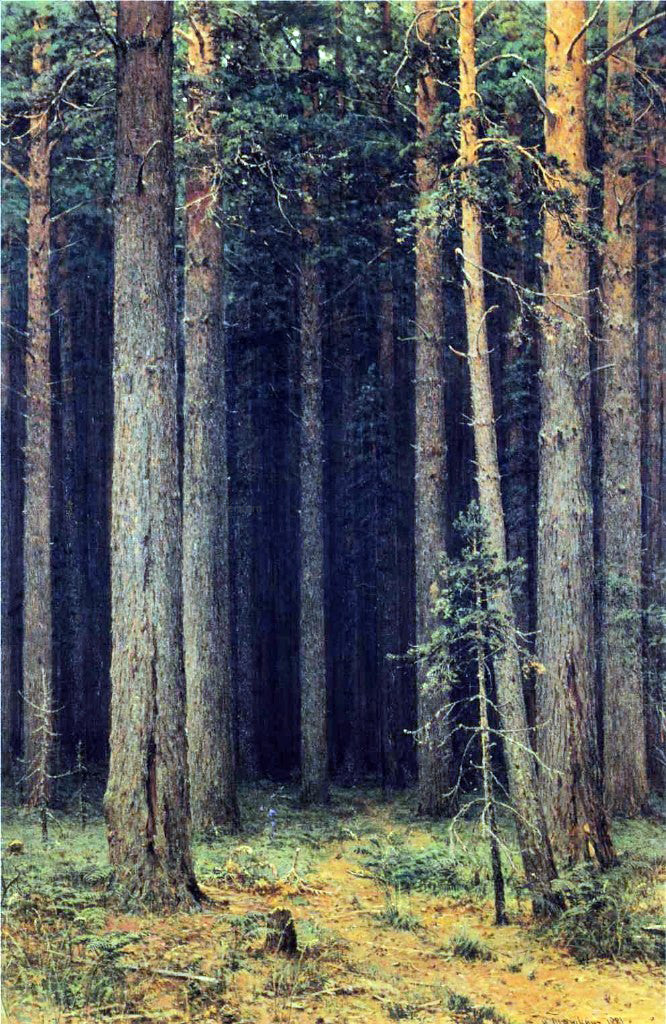 Ivan Ivanovich Shishkin Forest Reserve, Pine Grove - Hand Painted Oil Painting