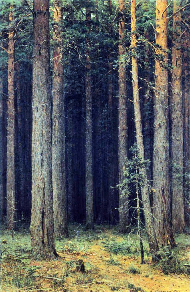  Ivan Ivanovich Shishkin Forest Reserve, Pine Grove - Hand Painted Oil Painting