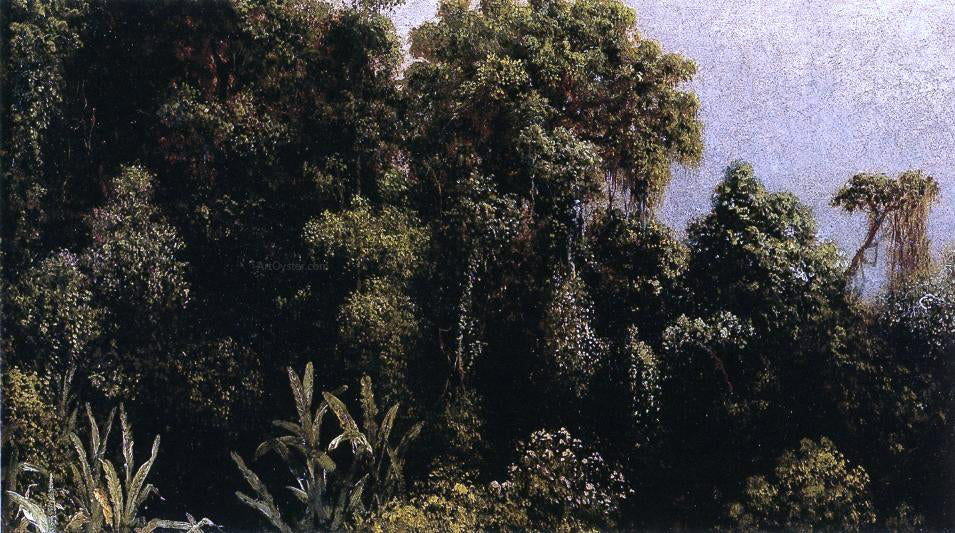 Martin Johnson Heade Forest Study, Brazil - Hand Painted Oil Painting