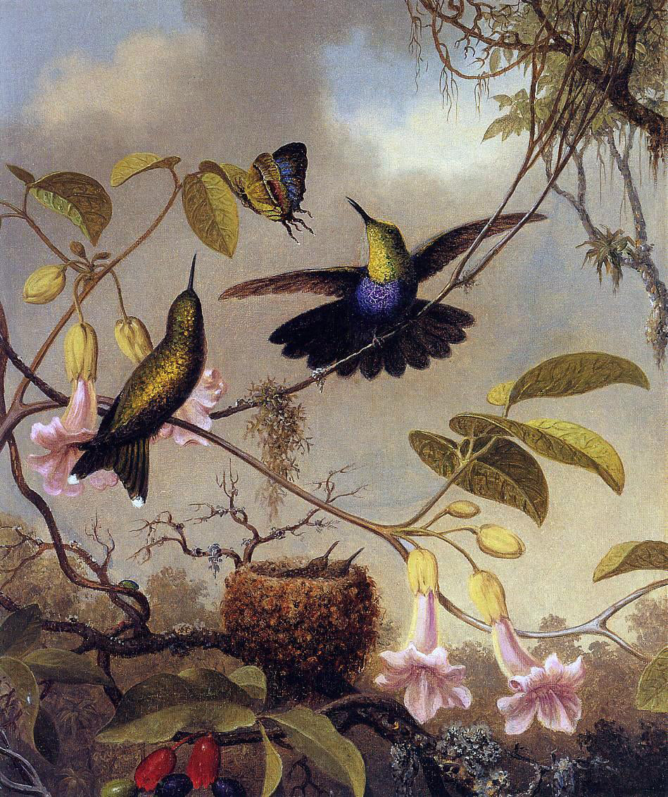 Martin Johnson Heade Fort-Tailed Woodnymph - Hand Painted Oil Painting