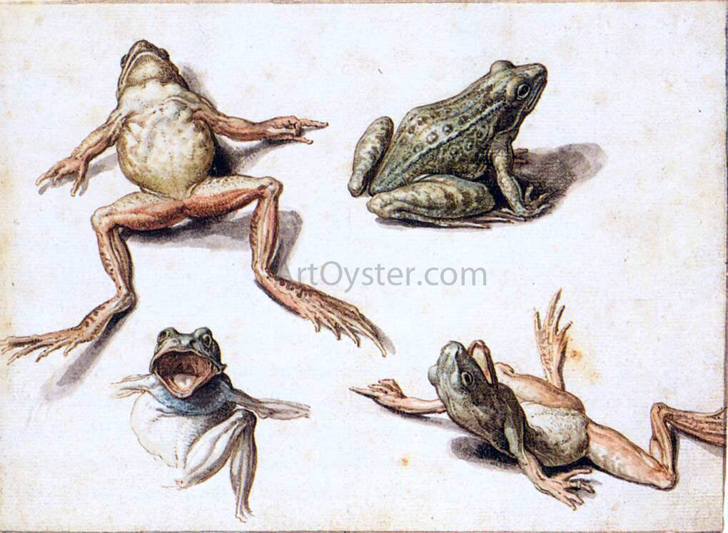 Jacob De II Gheyn Four Studies of Frogs - Hand Painted Oil Painting