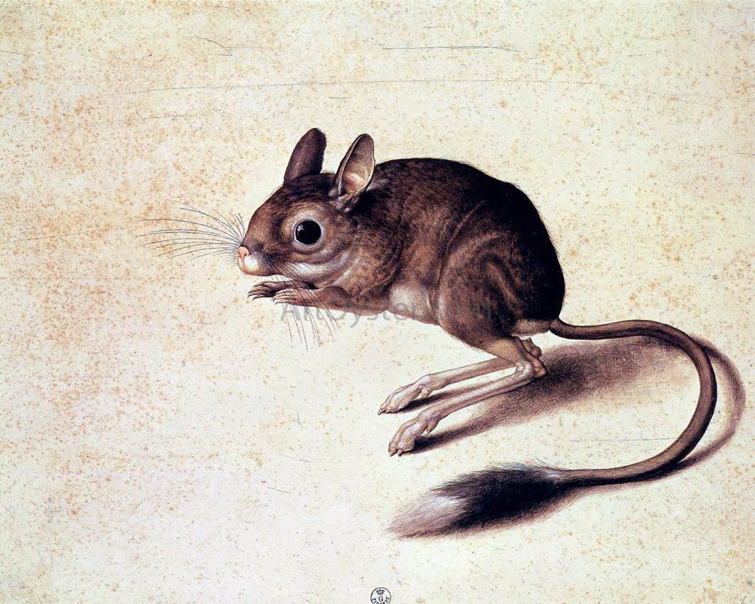 Jacopo Ligozzi Gerbil - Hand Painted Oil Painting