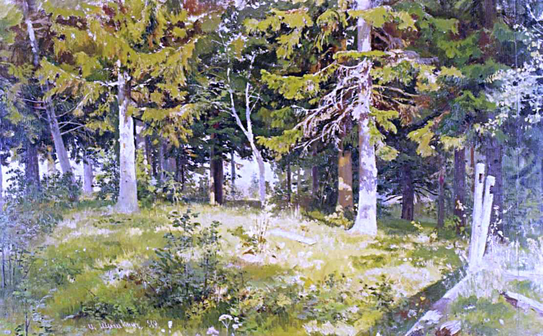 Ivan Ivanovich Shishkin Glade in a Forest - Hand Painted Oil Painting