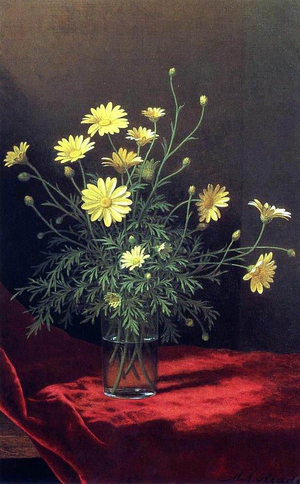 Martin Johnson Heade Golden Marguerites - Hand Painted Oil Painting