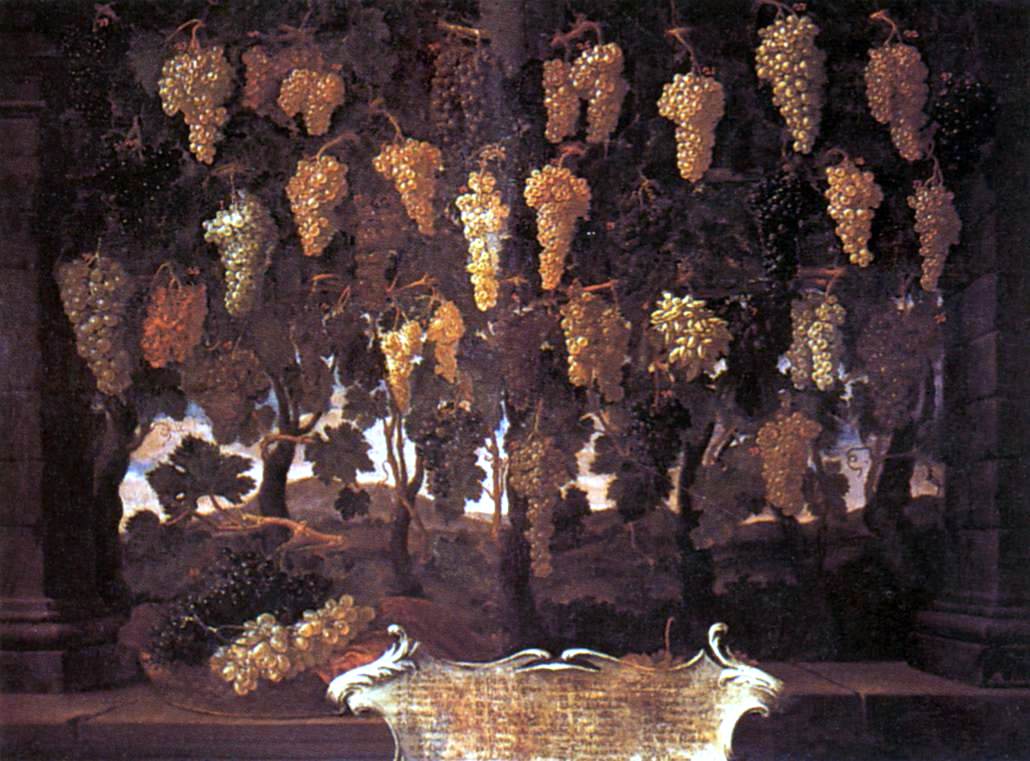  Bartolomeo Bimbi Grapes - Hand Painted Oil Painting