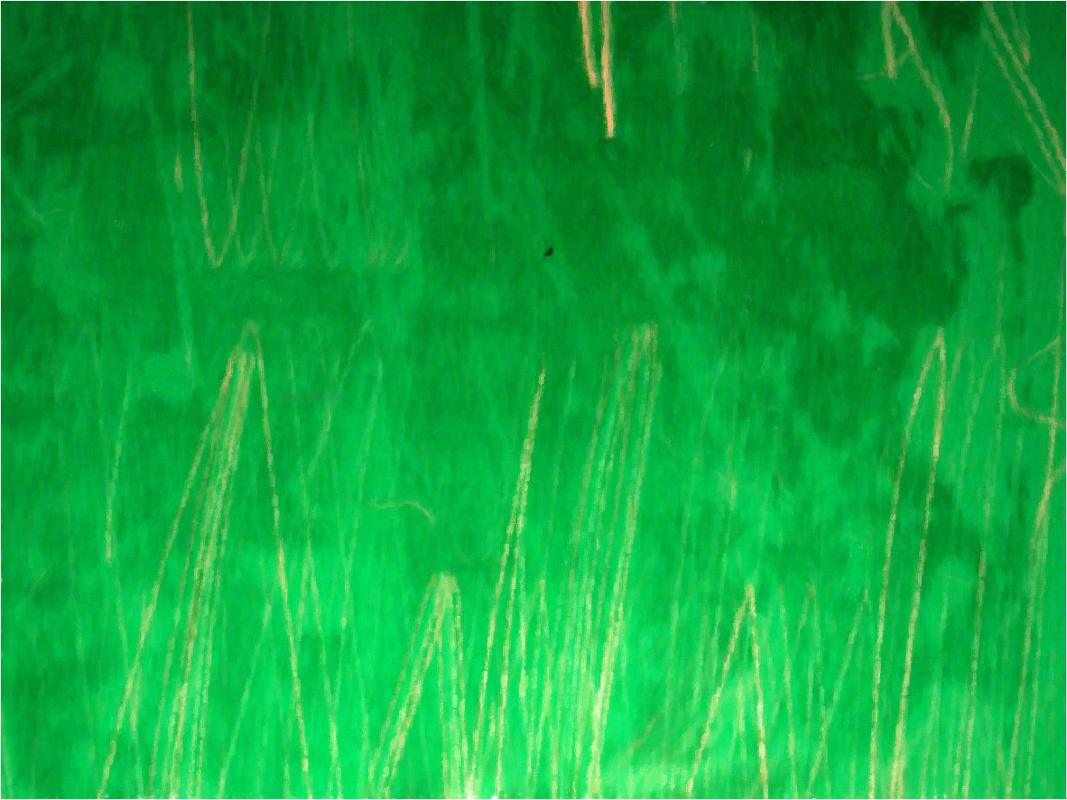 Our Original Collection Green Grass Abstract - Hand Painted Oil Painting