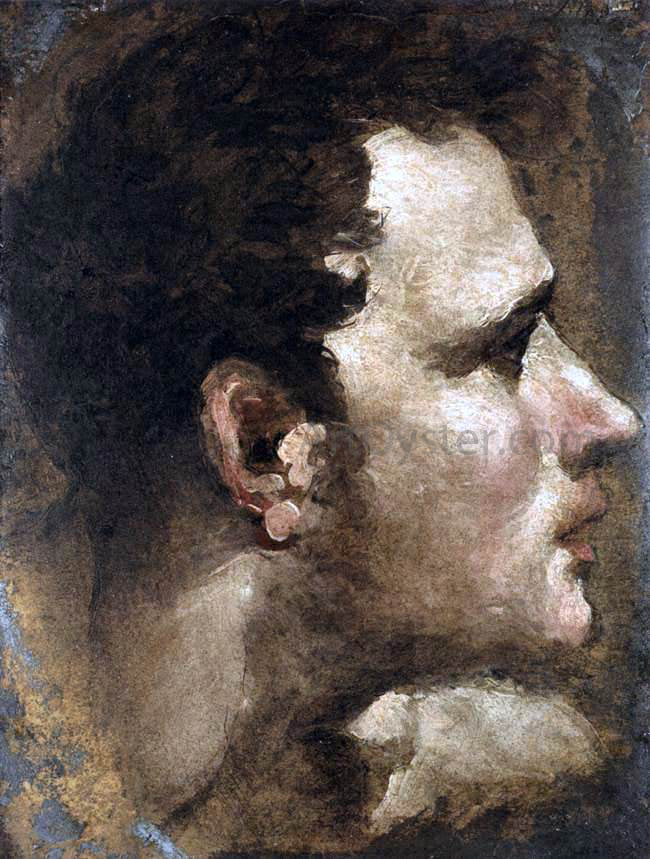 Domenico Beccafumi Head of a Youth Seen in Profile - Hand Painted Oil Painting