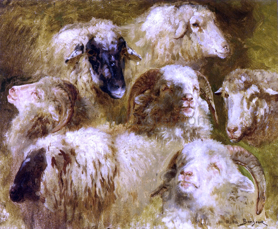 Rosa Bonheur Heads of Ewes and Rams - Hand Painted Oil Painting
