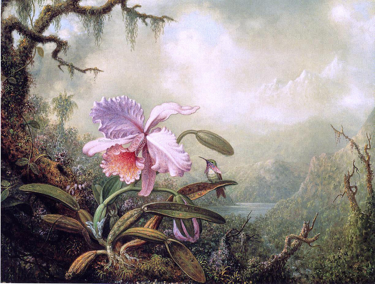  Martin Johnson Heade Heliodore's Woodstar and a Pink Orchid - Hand Painted Oil Painting
