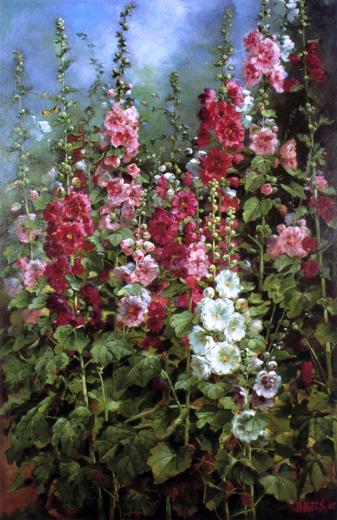 Mathias J Alten Hollyhocks - Hand Painted Oil Painting