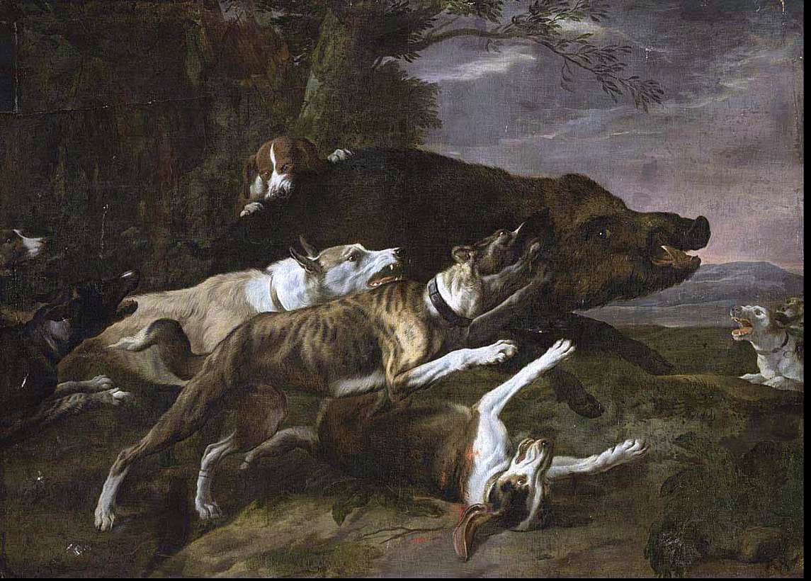 Pieter Boel Hounds Assailing a Boar - Hand Painted Oil Painting