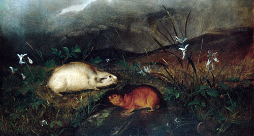John Woodhouse Audubon Hudson's Bay Lemming - Hand Painted Oil Painting