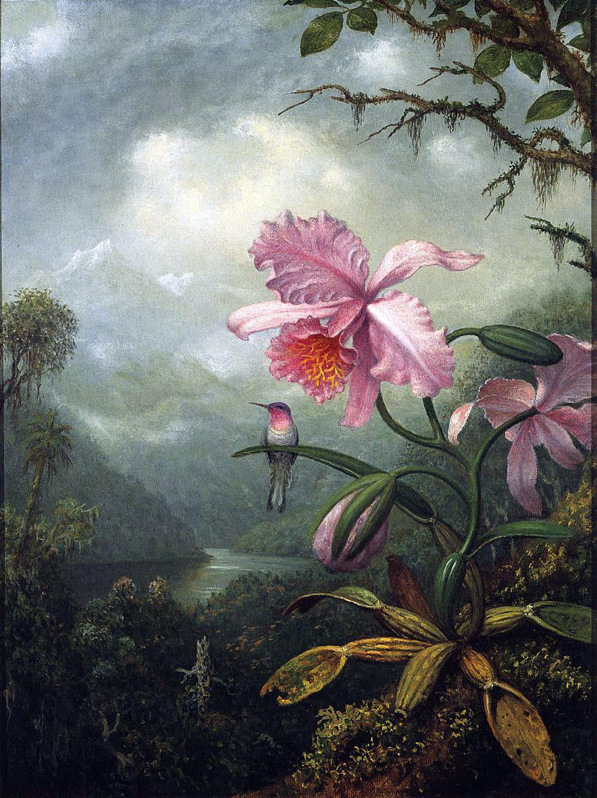 Martin Johnson Heade Hummingbird Perched on an Orchid Plant - Hand Painted Oil Painting