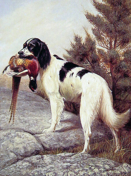 Alexander Pope Hunting Dog with Pheasant - Hand Painted Oil Painting