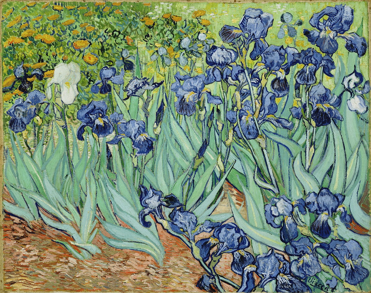 Vincent Van Gogh Irises - Hand Painted Oil Painting